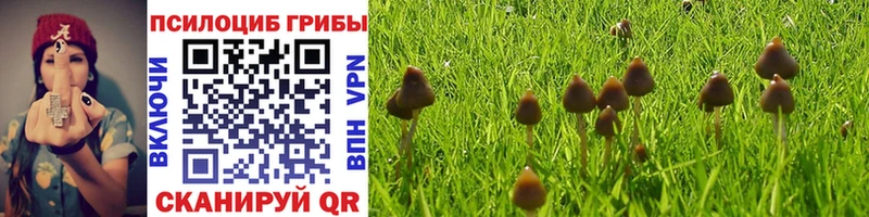 Псилоцибиновые грибы GOLDEN TEACHER  Купить  Елизово 